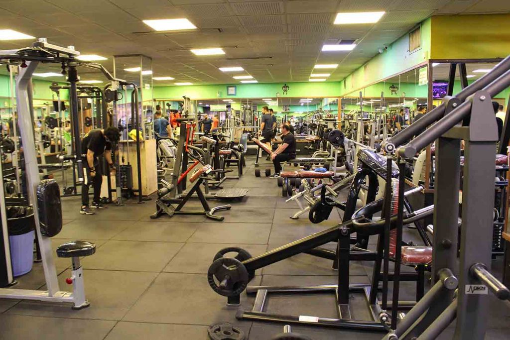 باشگاه ورزشی